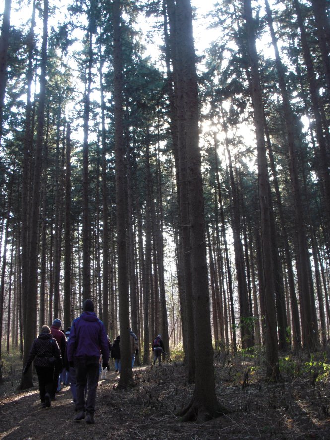 How about getting in shape in beautiful surroundings?