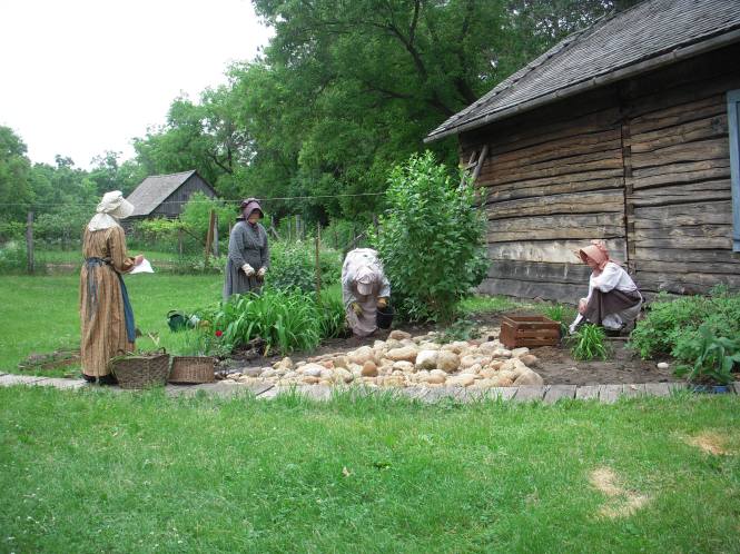 Women in bonnets diligently working the garden!